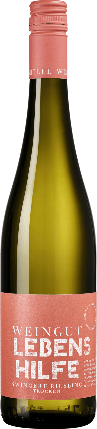 5 Wingert Riesling Trocken 2023
