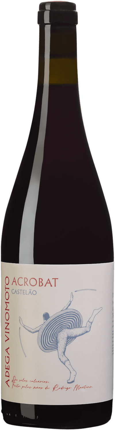 Adega Vinomoto Acrobat 2023