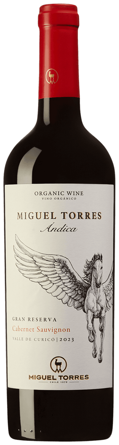 Andica Cabernet Sauvignon 2024