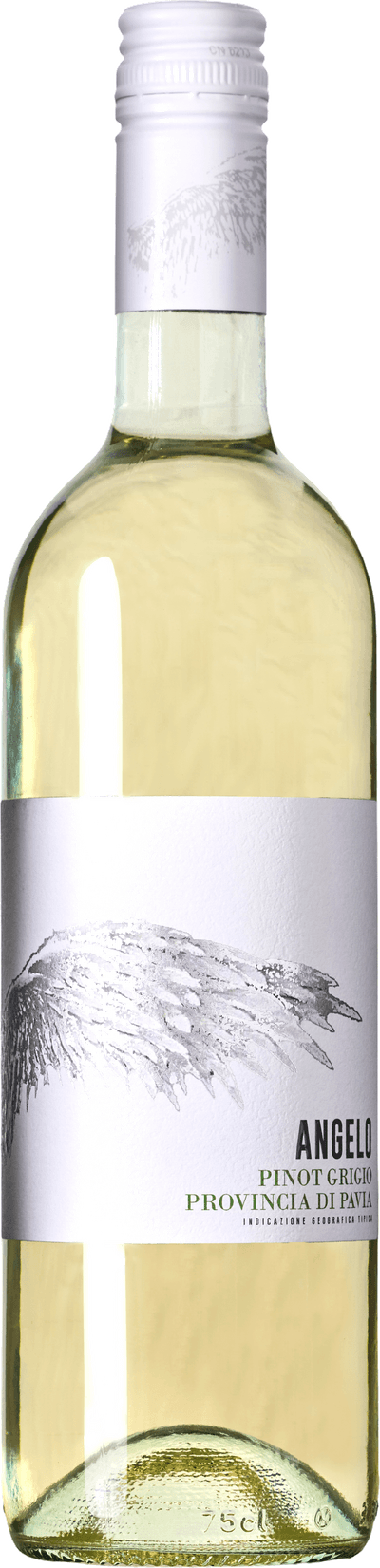 Angelo Pinot grigio 2025