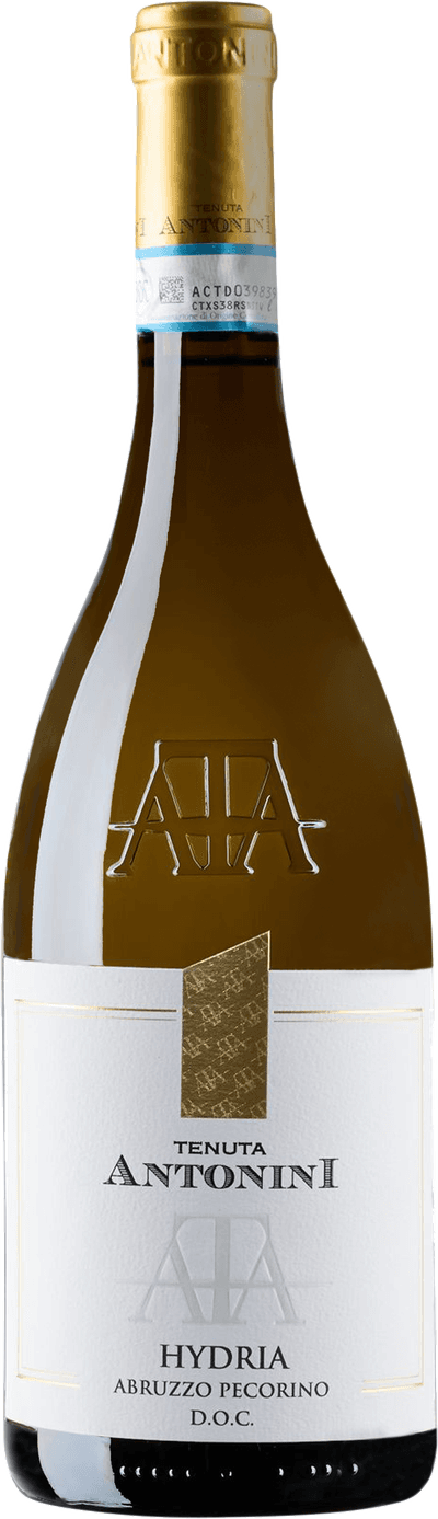 Antonini Hydria 2024