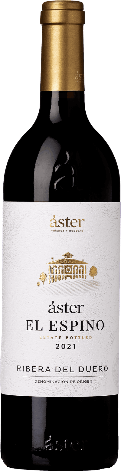 Áster El Espino 2021