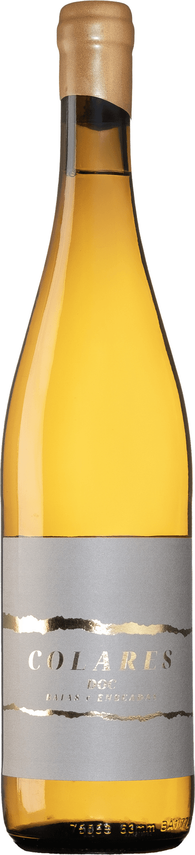 Baías e Enseadas Malvasia Colares 2023
