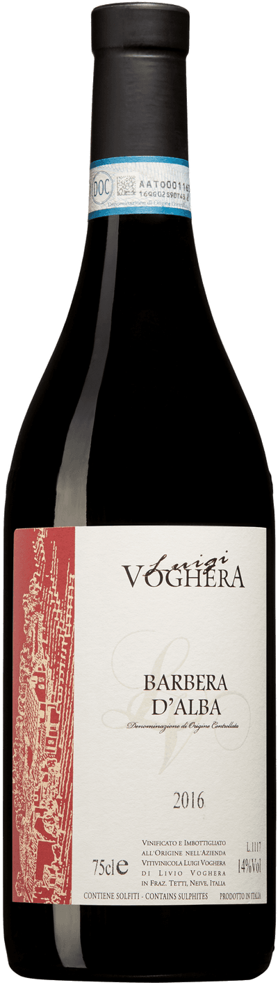 Barbera d'Alba Luigi Voghera 2023