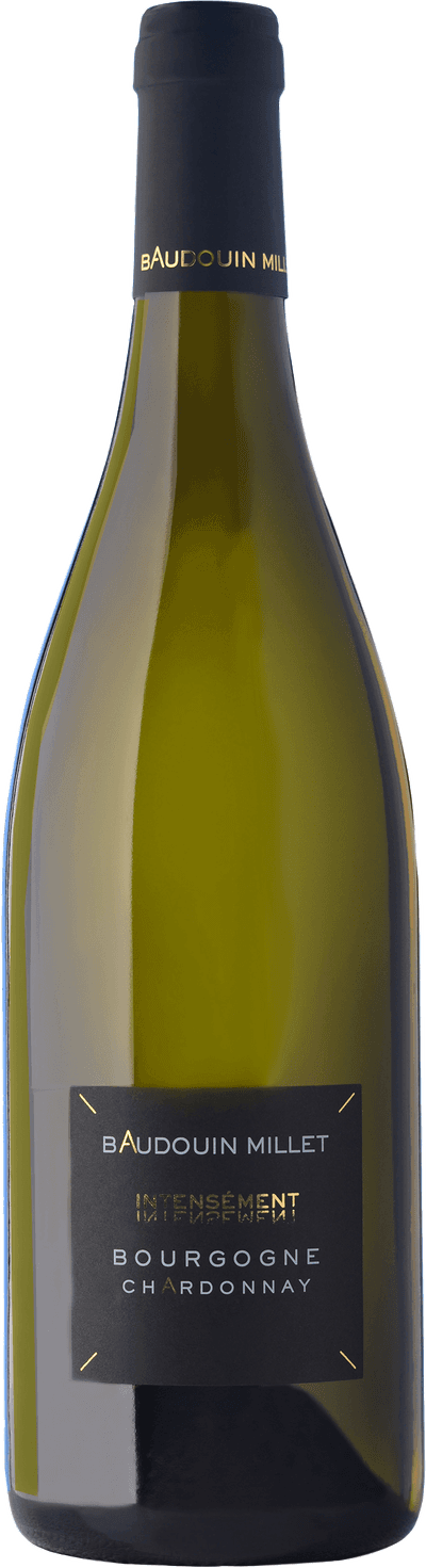 Baudouin Millet Bourgogne Chardonnay 2023