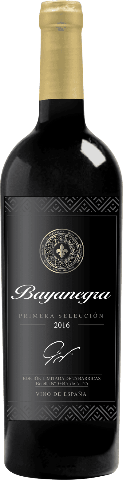 Bayanegra Primera Selección 2016