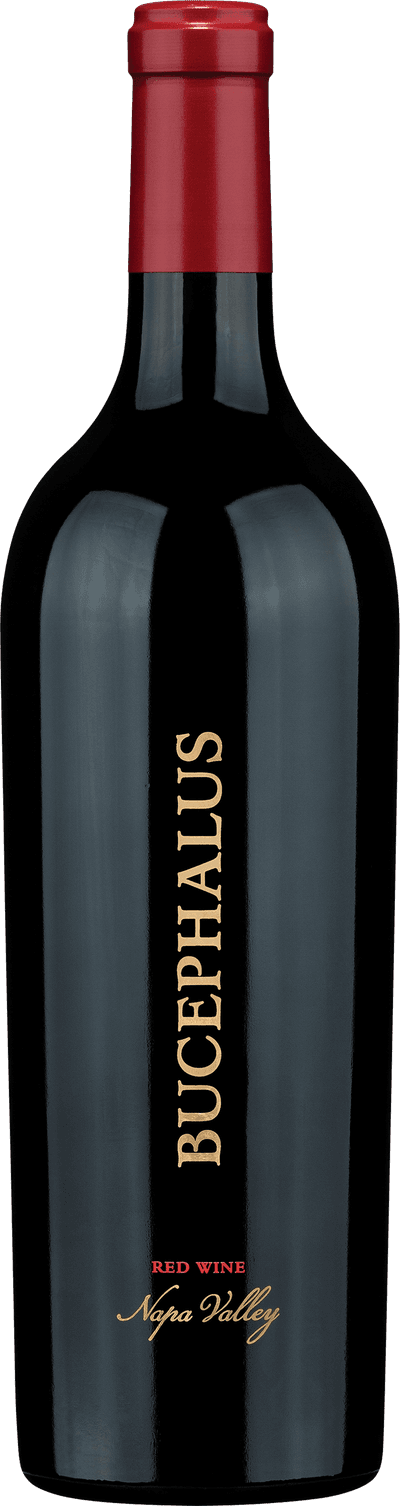 Black Stallion Bucephalus 2018