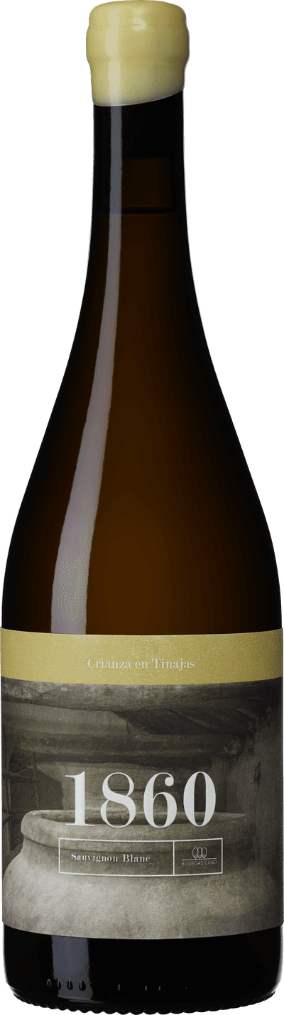 Bodegas Cano 1860 Blanco en Tinajas 2024