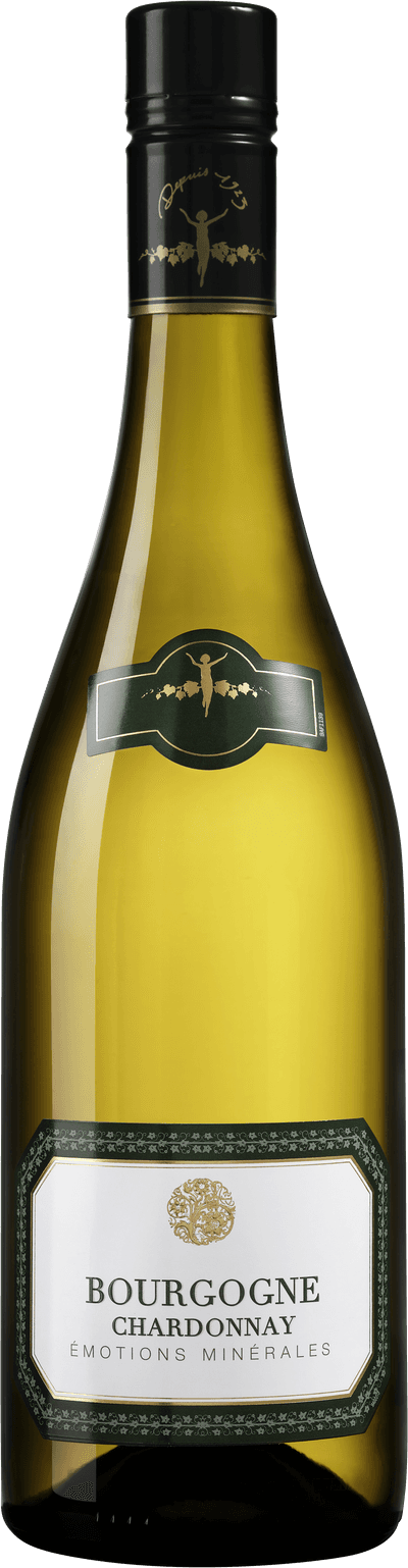 Bourgogne Chardonnay 2022