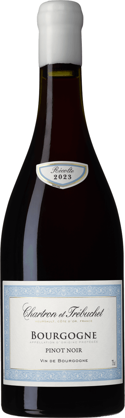 Bourgogne Pinot Noir 2024