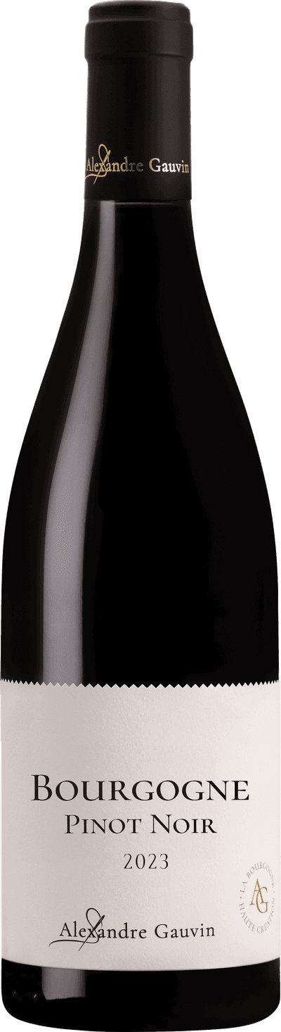 Bourgogne Pinot Noir Alexandre Gauvin 2023