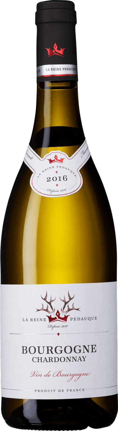 Bourgogne Reine Pédauque 2023