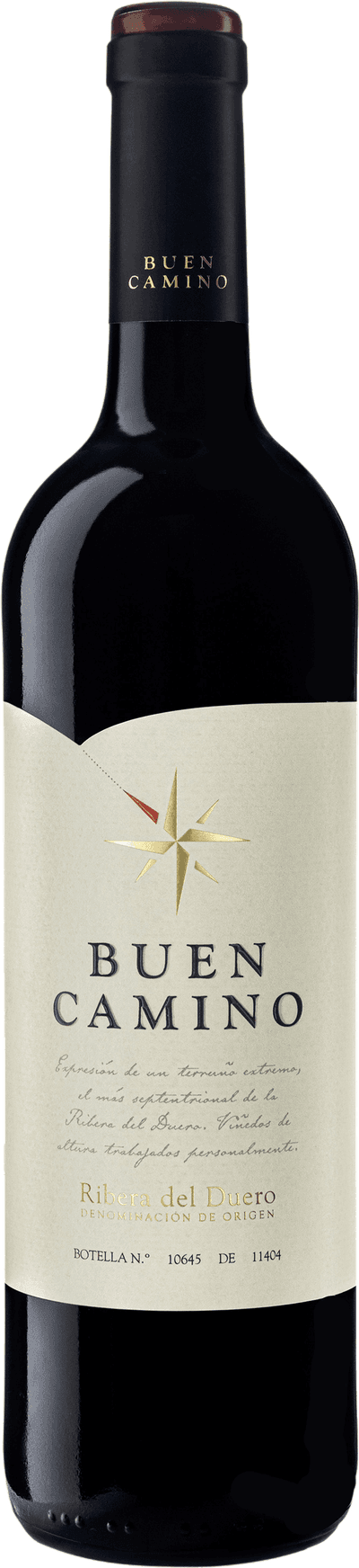 Buen Camino 2018