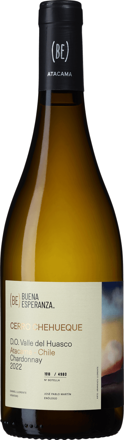 Buena Esperanza Cerro Chehueque 2022