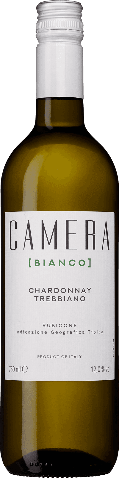 Camera Bianco 2024