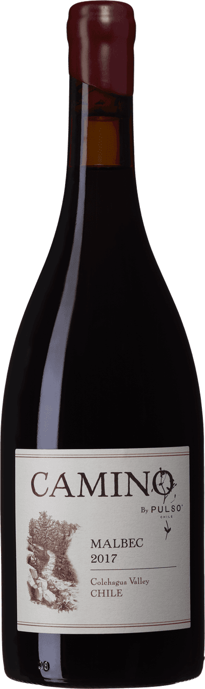 Camino Malbec 2017