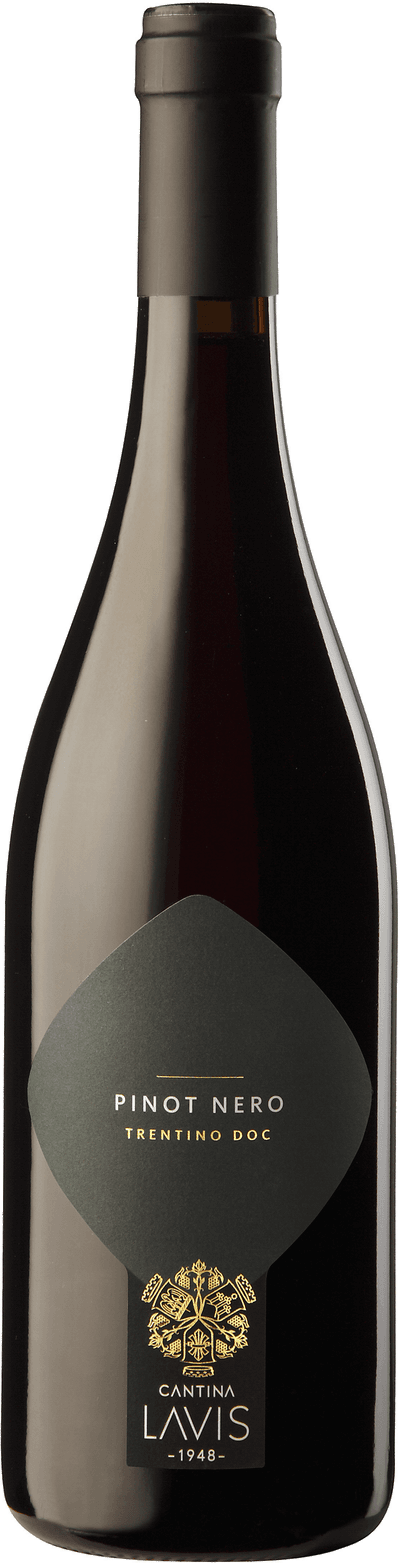Cantina Lavis Pinot Nero 2025