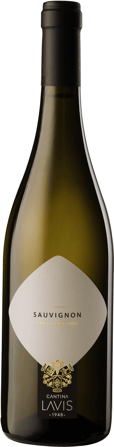 Cantina Lavis Sauvignon 2025