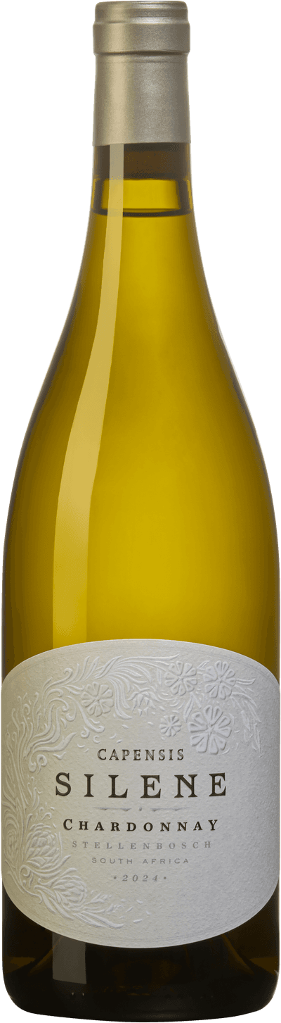 Capensis Silene Chardonnay 2024