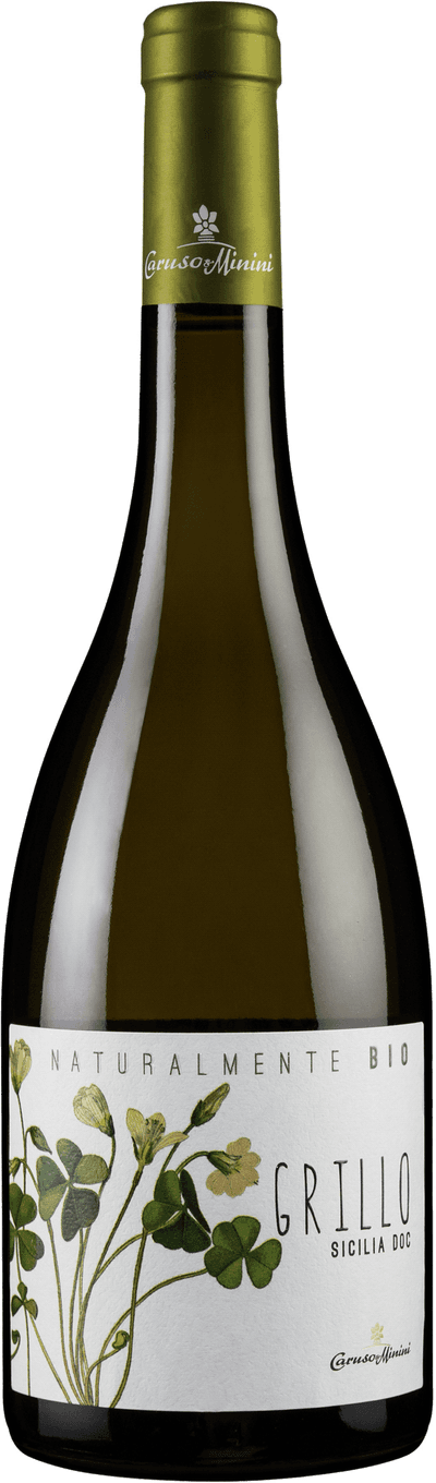 Caruso & Minini Lillo Grillo 2024