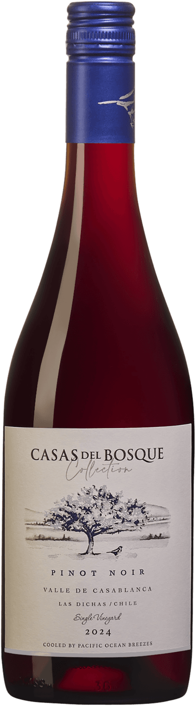 Casas del Bosque Pinot Noir Collection 2024