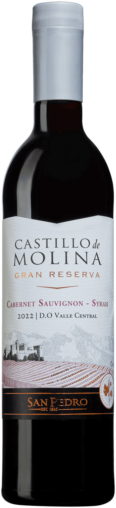 Castillo de Molina Cabernet Sauvignon Syrah 2022