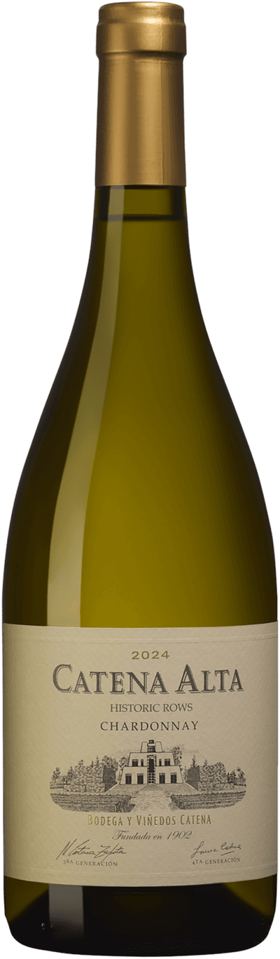 Catena Alta Chardonnay 2024