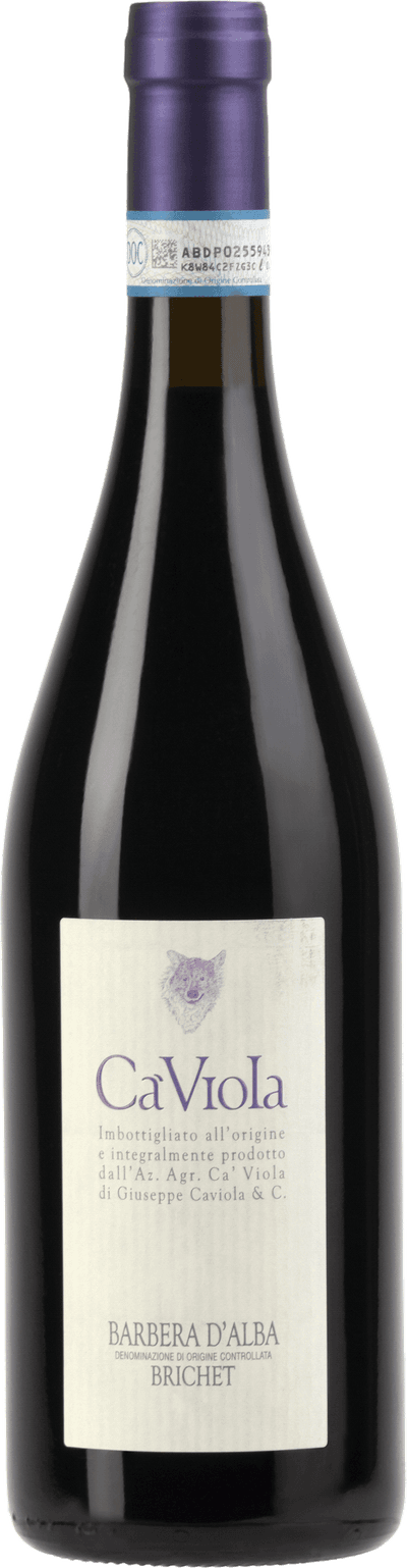 Ca'Viola Barbera d'Alba Brichet 2020