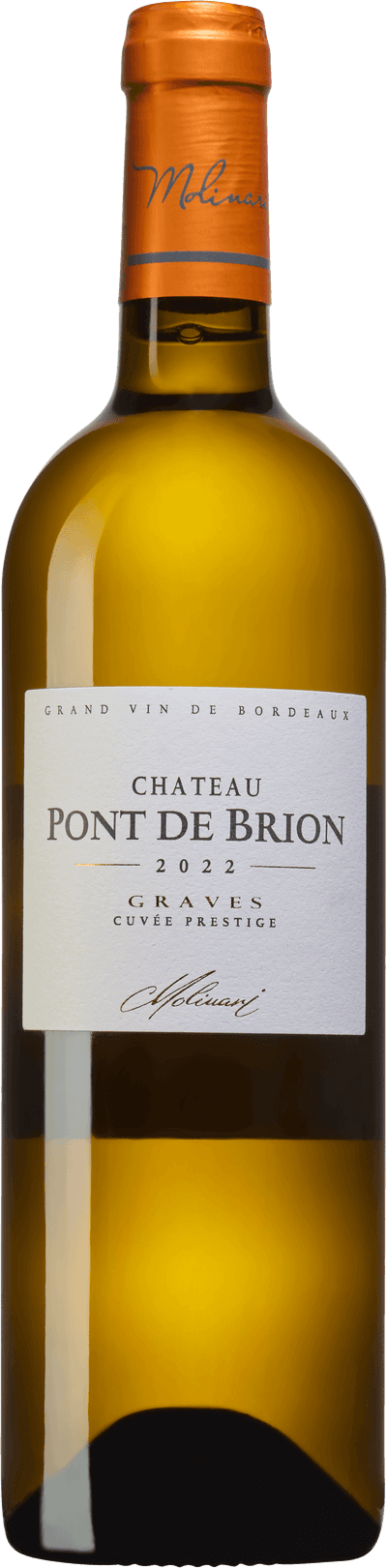 Château Pont de Brion 2024
