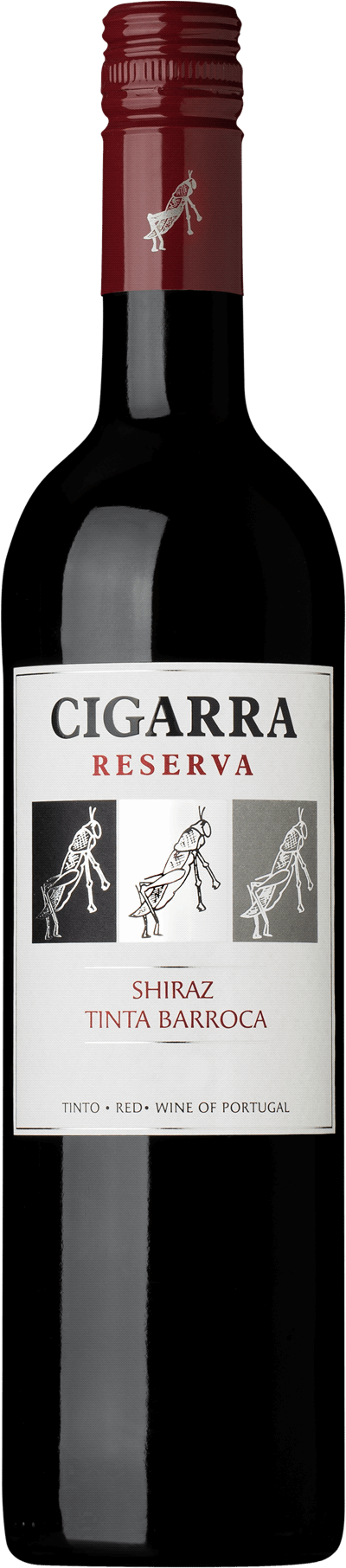 Cigarra Reserva Shiraz Tinta Barroca 2024