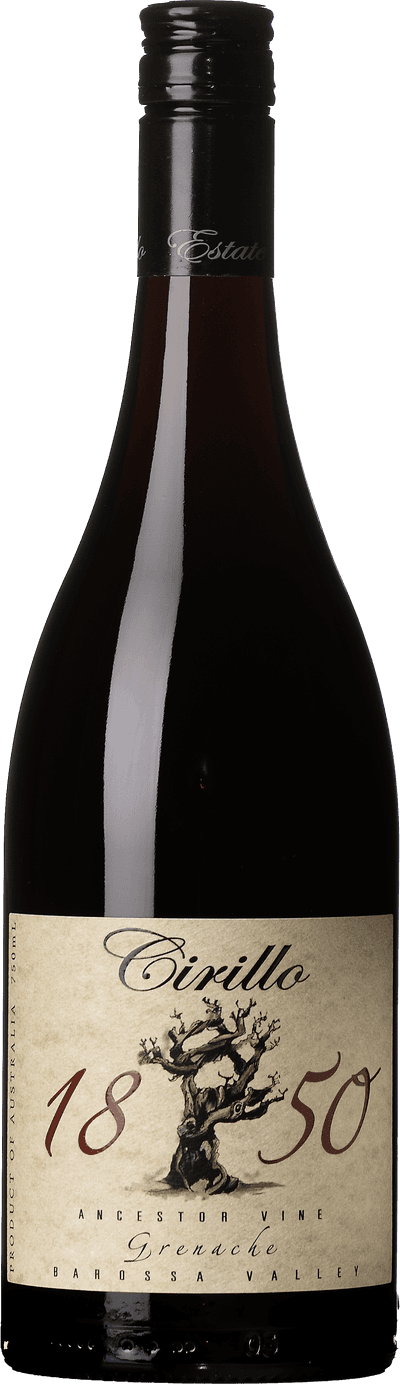 Cirillo Estate 1850 Ancestor Vine Grenache 2019