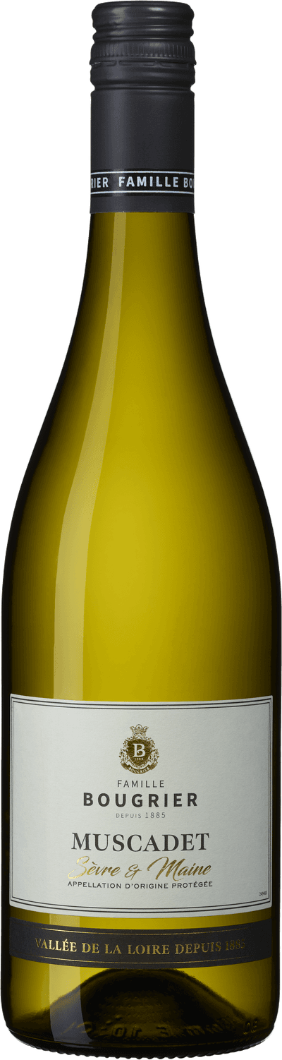 Collection Muscadet Sèvre & Maine Bougrier 2024