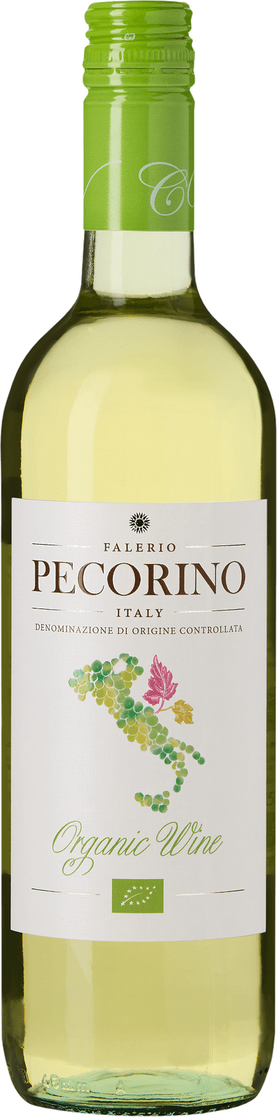 Collevite Falerio Pecorino 2024