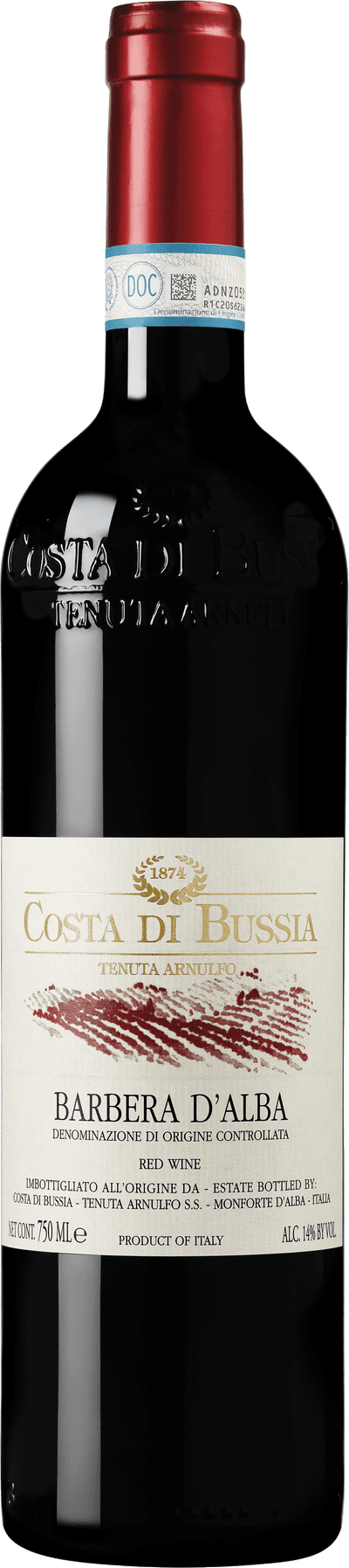 Costa di Bussia Barbera d'Alba 2023