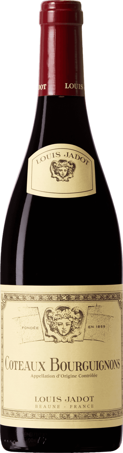Coteaux Bourguignons Rouge Maison Louis Jadot 2024
