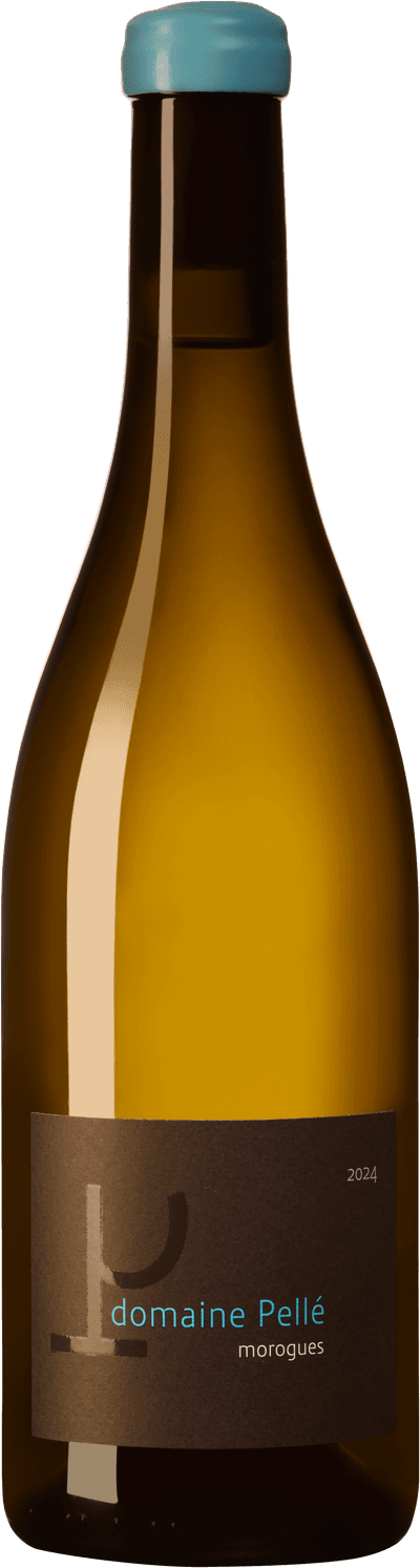 Domaine Pellé Menetou-Salon Morogues 2024