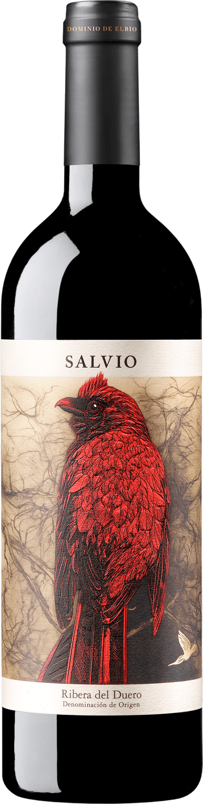 Dominio de Elbio Salvio 2024