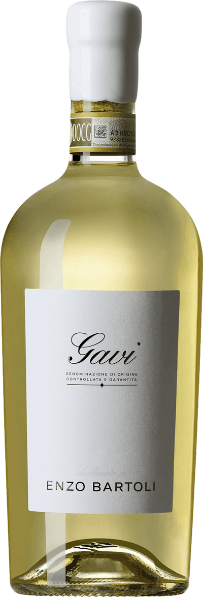 Enzo Bartoli Gavi 2024