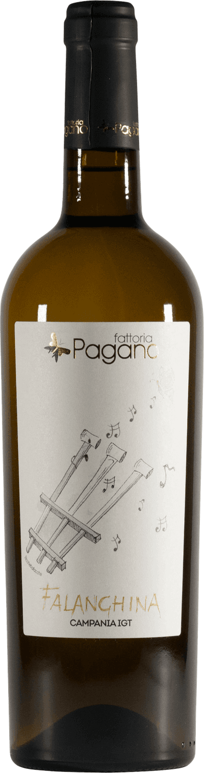 Falanghina Campania 2024