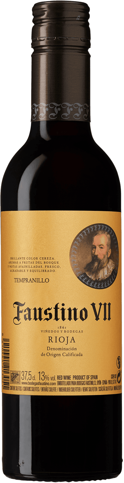Faustino VII 2023