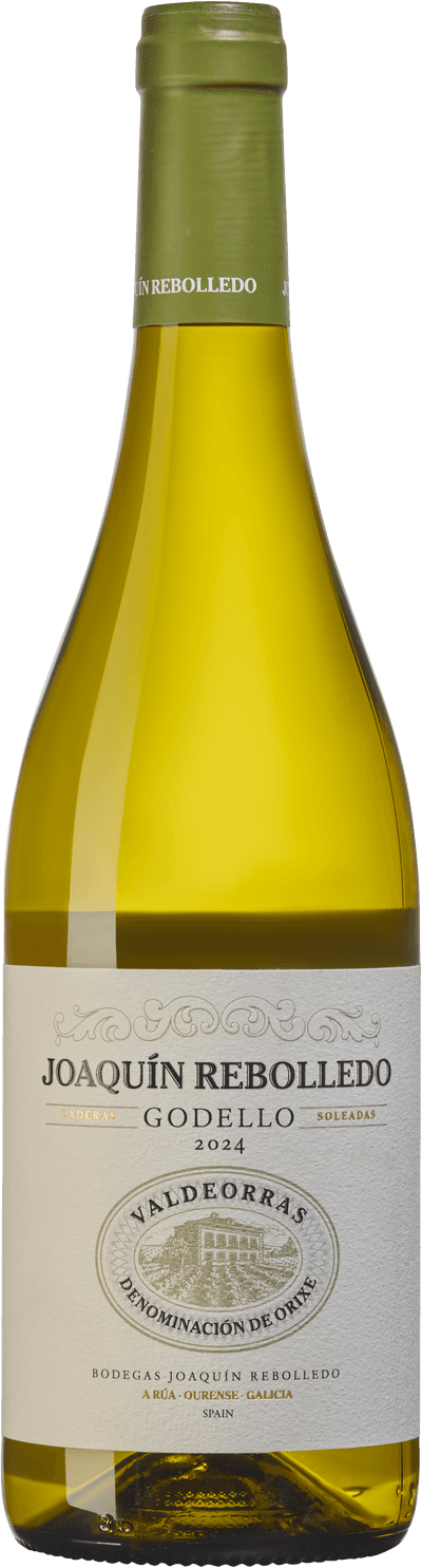 Joaquín Rebolledo Godello 2024