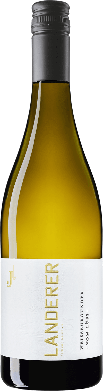 Landerer Weissburgunder Organic vom Löss Weingut Landerer 2024