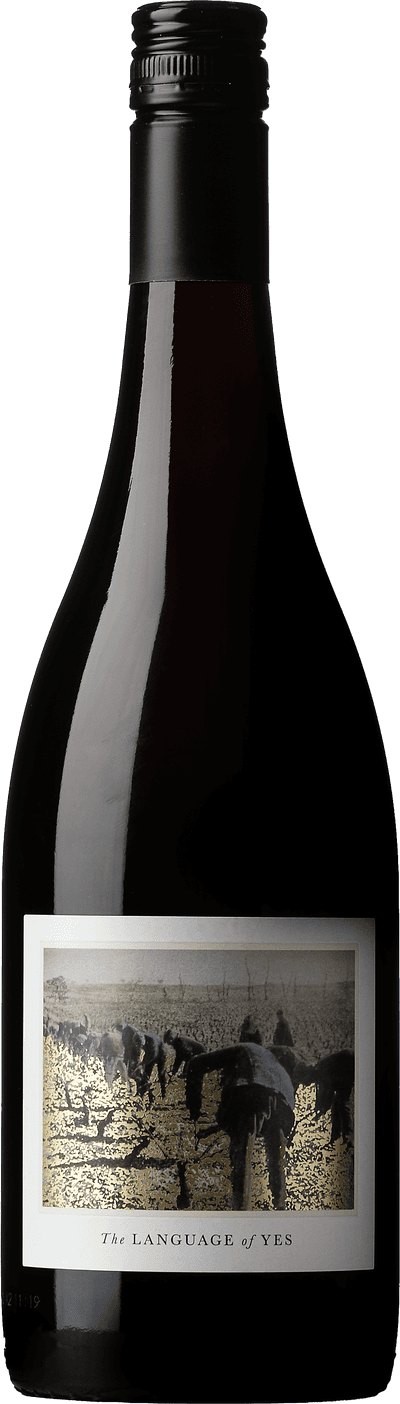 Language of Yes Grenache 2022