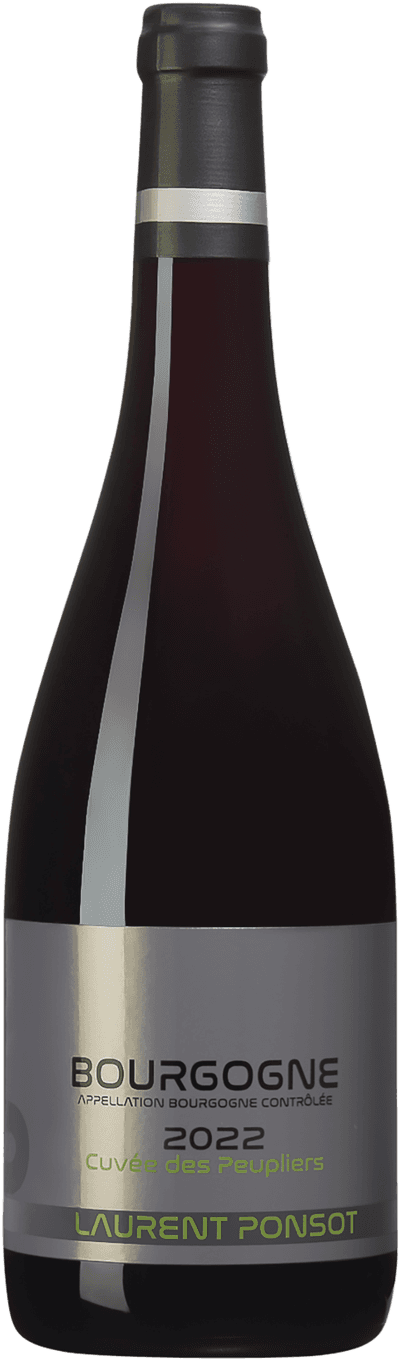 Laurent Ponsot Bourgogne Rouge 2022