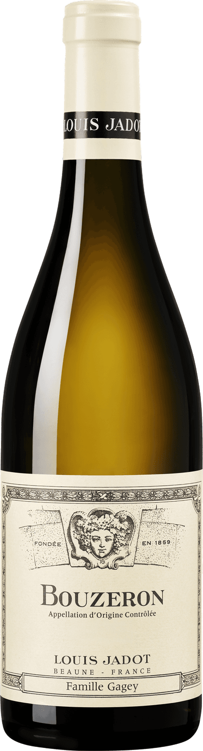 Louis Jadot Bouzeron 2023