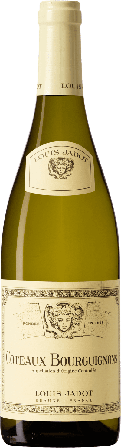 Louis Jadot Coteaux Bourguignons Blanc 2024