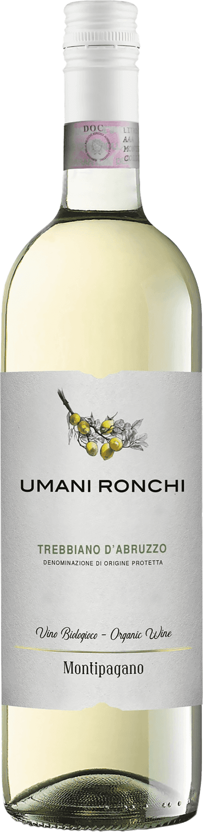 Montipagano Trebbiano d'Abruzzo 2024