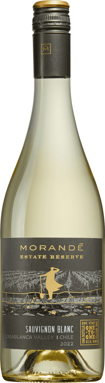 Morandé Estate Reserve Sauvignon Blanc 2023
