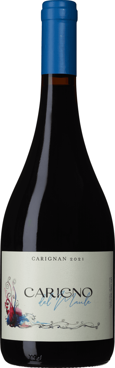 Moretta Wines Carigno del Maule 2021