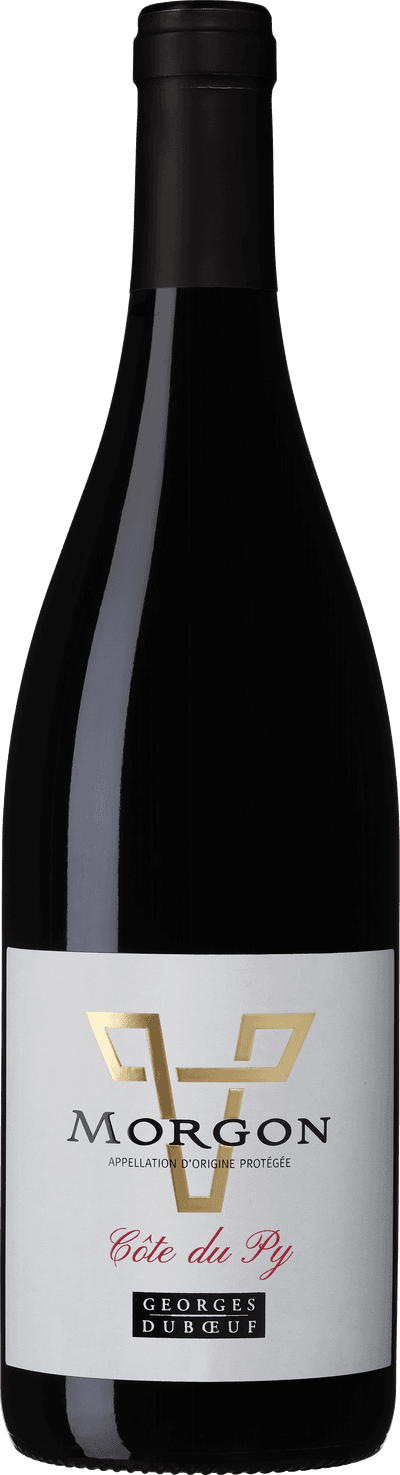Morgon Côte du Py 2023